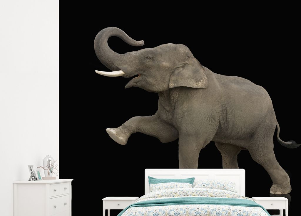 MuchoWow Fototapete für Wohnzimmer oder Schlafzimmer Wandtapete Vinyl Motivtapete Elefant mit erhobenem rechten Bein auf schwarzem Hintergrund -...