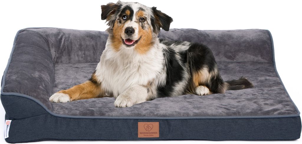 A dog is lying on a dog bed.