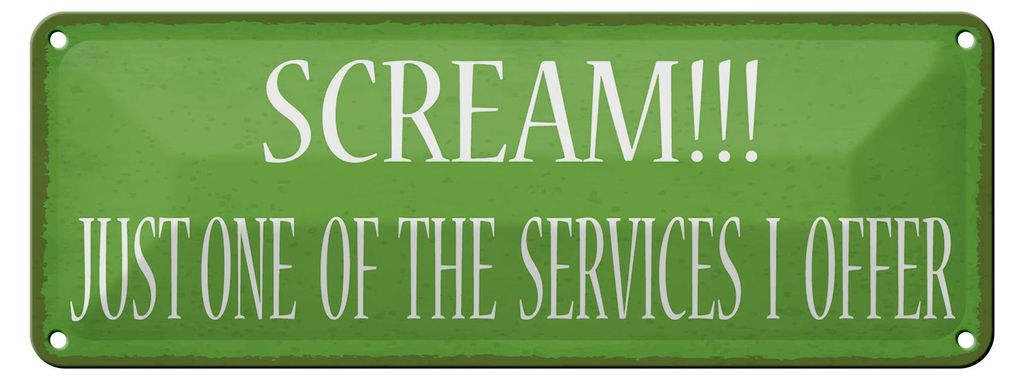Blechschild Spruch 27x10cm scream just one of the services Dekoration