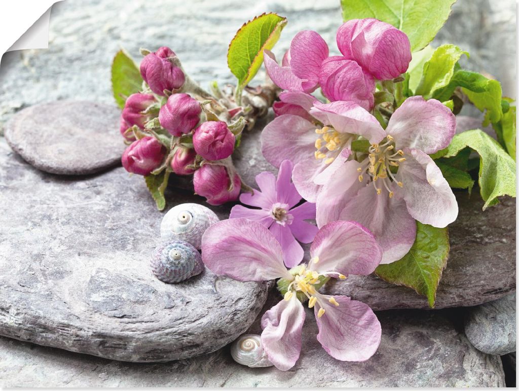 ARTland Poster Apfelblüten Größe: 60x45 cm