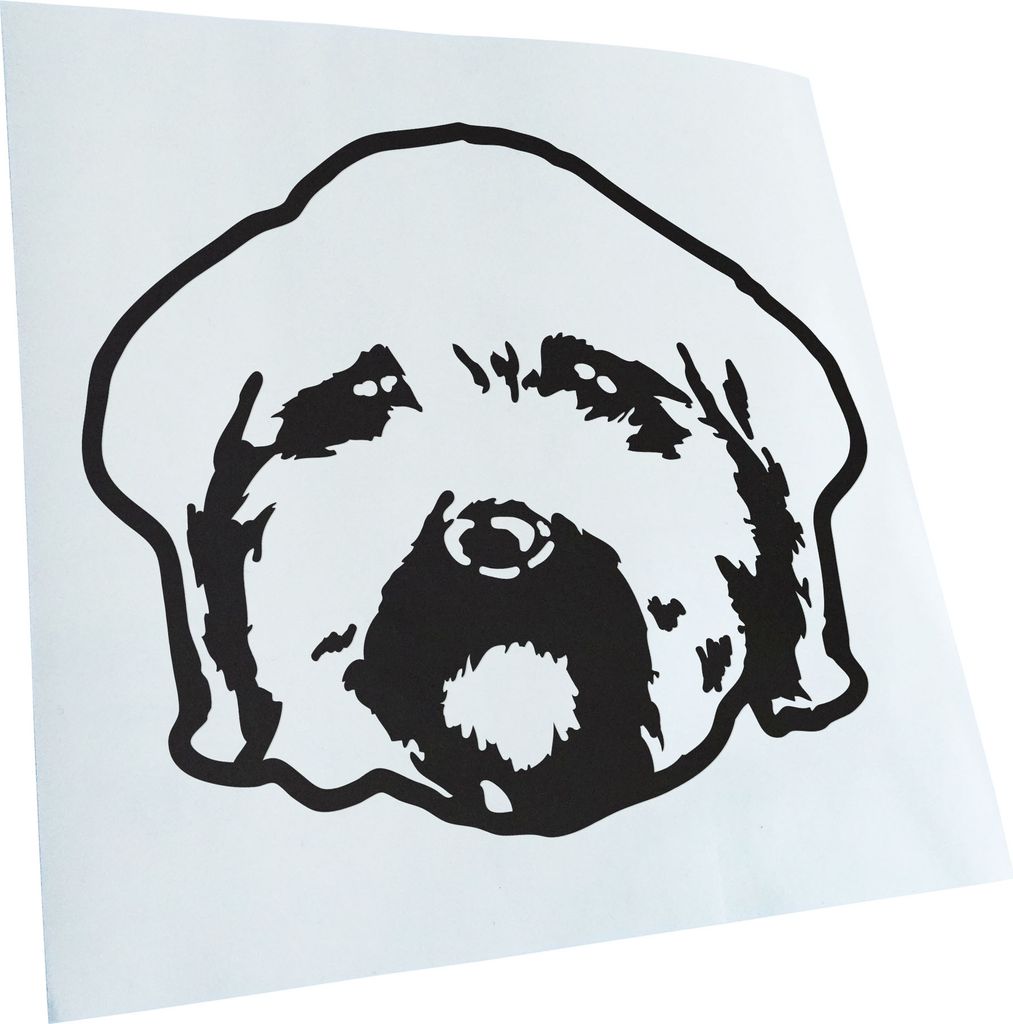 Kiwistar - Autoaufkleber - Maltipoo Hund - Mattschwarz - 30x25cm - Aufkleber für Auto, Laptop, Fahrrad, LKW, Motorrad mehrfarbig JDM Decal Racing