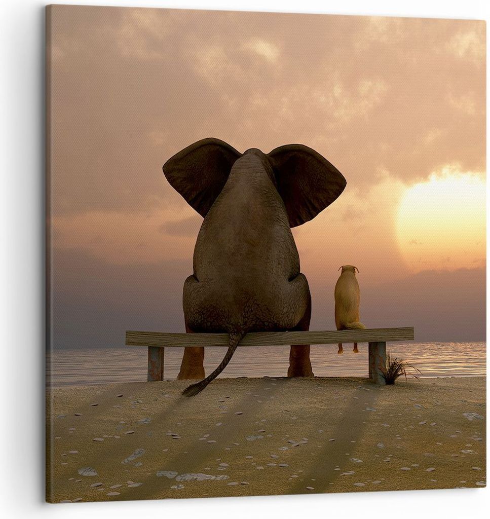Bild auf Leinwand - Leinwandbild - Elefant Ufer Meer - 50x50cm - Wand Bild - Wanddeko - Wandbilder - Leinwanddruck - Bilder - Kunstdruck - Wanddeko...