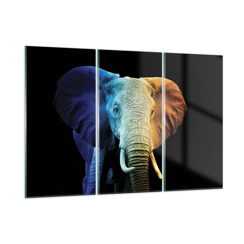 Bilder auf glas - 3 Teile - Bunt Elefant Fotografie - 105x70cm - Glasbilder - Wandbilder - Bilder - zum Aufhängen bereit - Wanddekoration aus Glas...