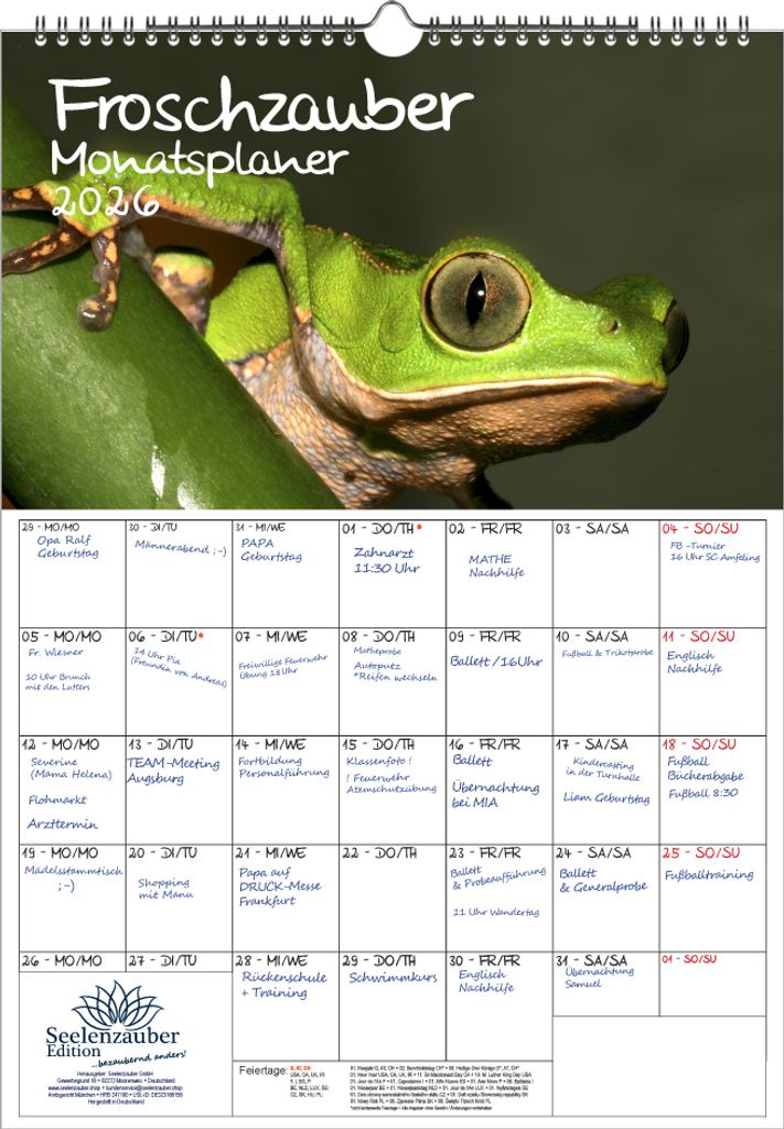 Froschzauber Frösche Planer DIN A3 Kalender für 2026 Frosch - Seelenzauber