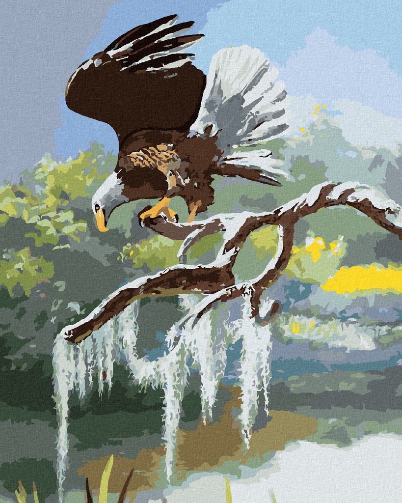 Zuty - Malen nach Zahlen - ADLER AUF EINEM AST AM WASSER (D. RUSTY RUST), 40x50 cm, ohne Keilrahmen