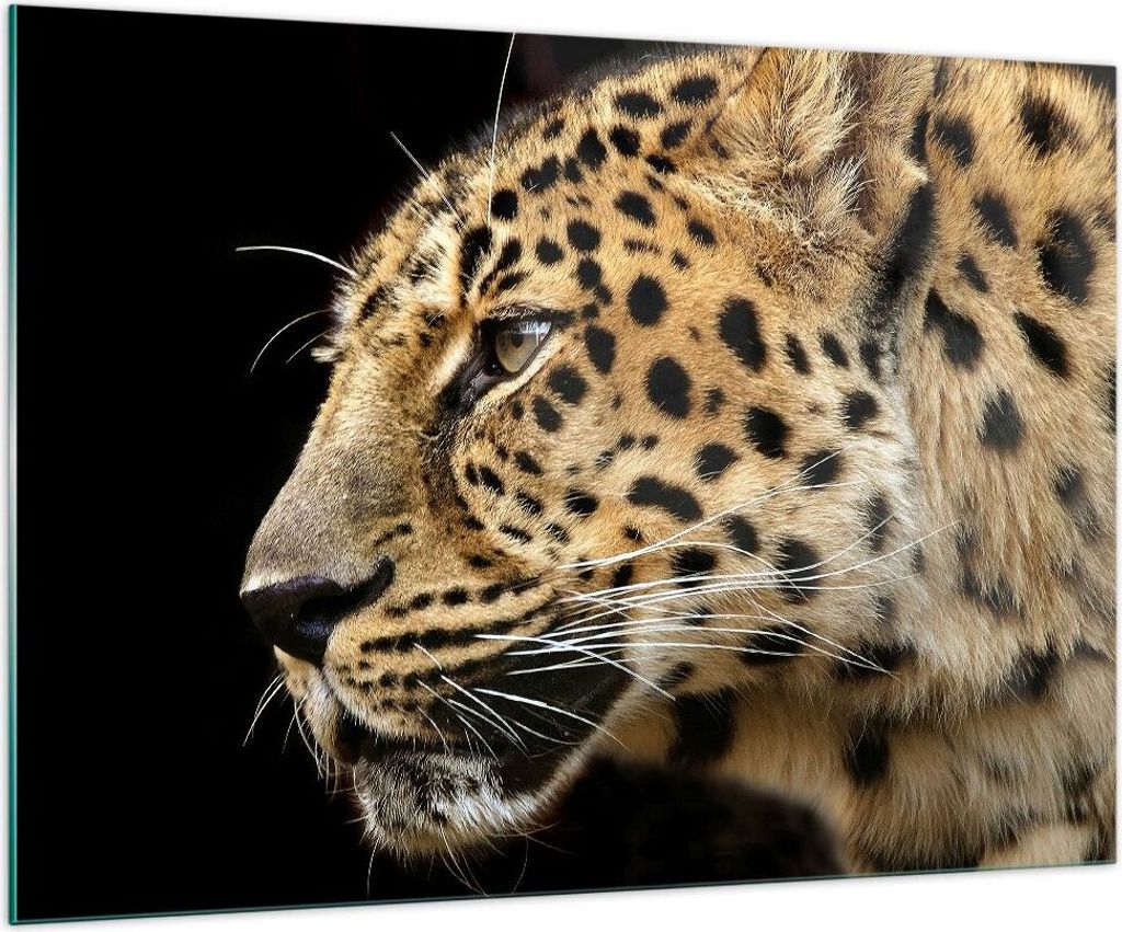 Bilder auf glas - Tiere Leopard wilde Katze wilde Tiere - 100x70cm - Glasbilder - Wandbilder - Kunstdruck - Wanddekoration aus Glas - Glas Bilder -...