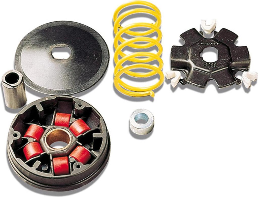 Malossi Variator Multivar kompatibel mit Honda Dio / Vision / Wallaroo, Peugeot Fox / Rapido / ST 50ccm, Gegendruckfeder: weiß , Gewicht