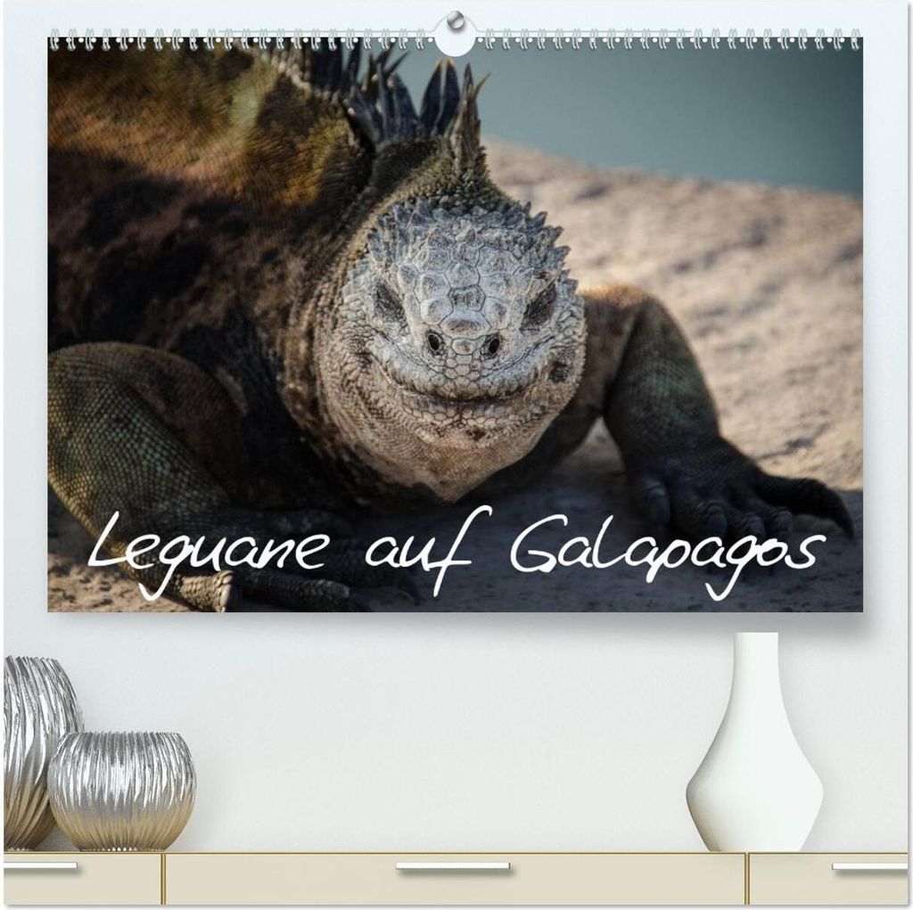 Leguane auf Galapagos (hochwertiger Premium Wandkalender 2026 DIN A2 quer), Kunstdruck in Hochglanz