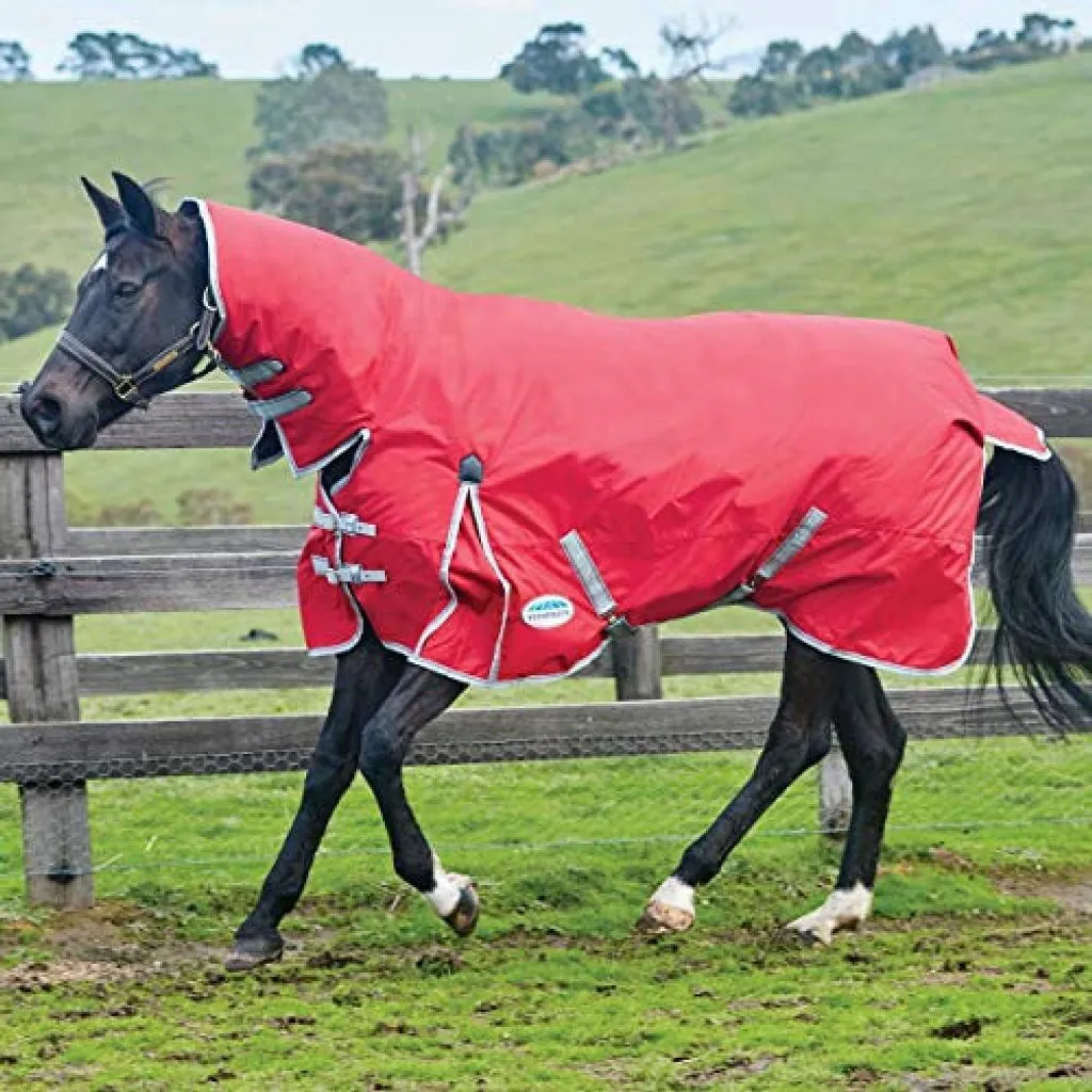 Couverture de cheval pour l'extérieur Weatherbeeta Heavy Combo WB580