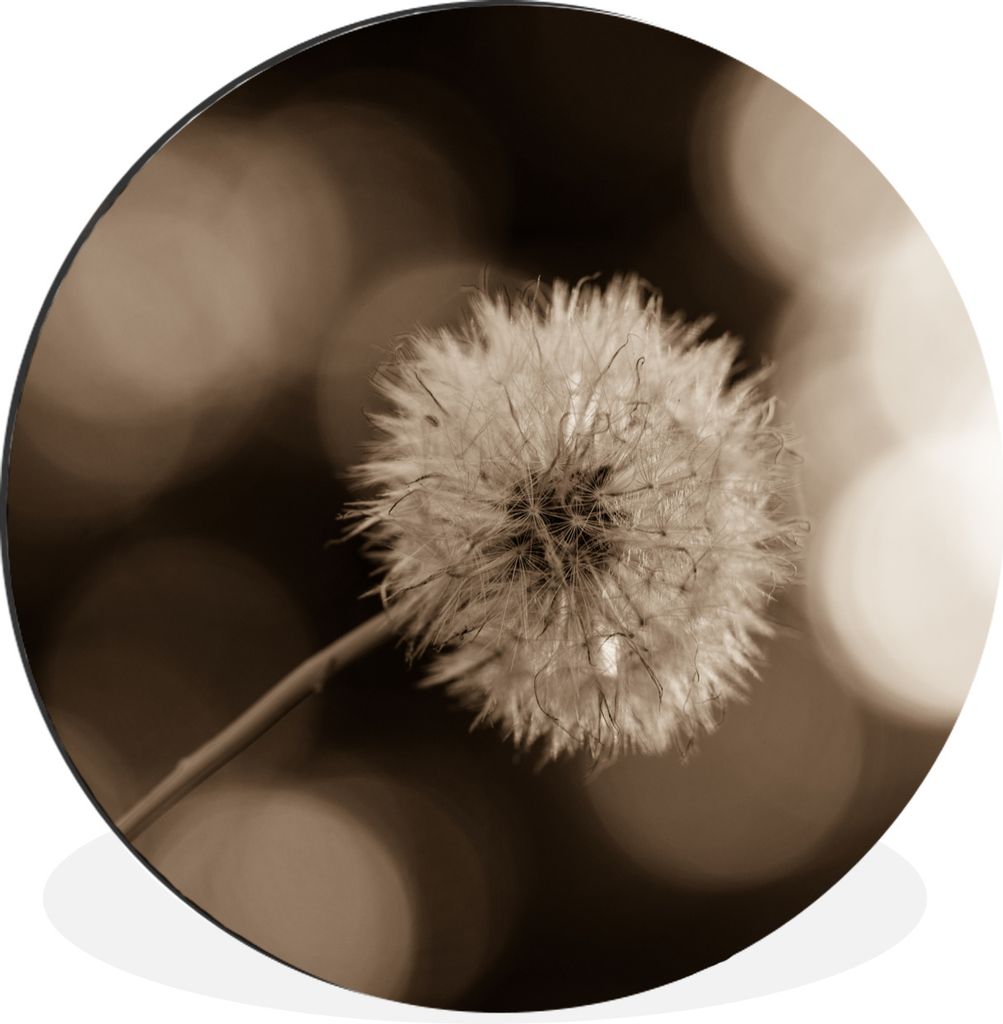 MuchoWow Aluminium Wandkreis Sepia-Fotodruck Löwenzahn Ø 60 cm Wanddeko Modern Wohnzimmer - Wand Kreis - Wandbild - Schlafzimmer - Aluminium Bi...