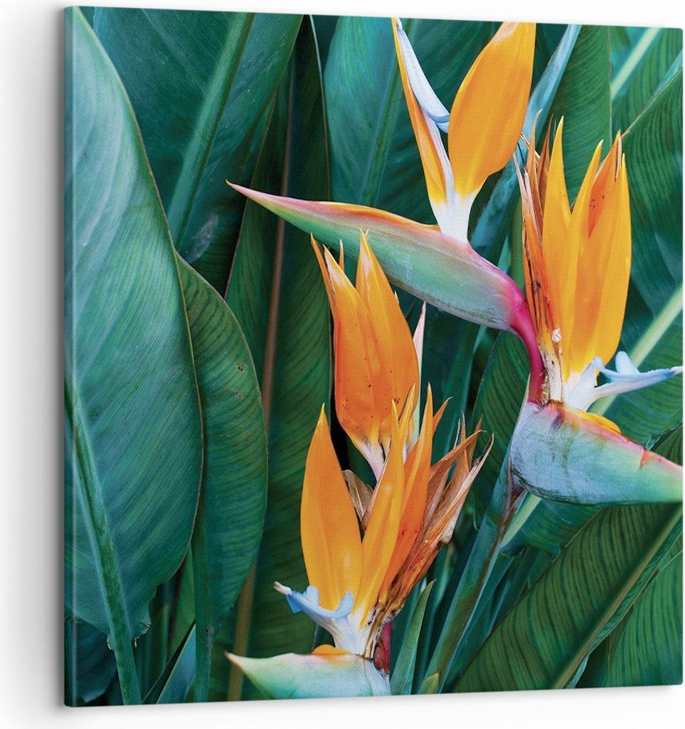 Bild auf Leinwand - Leinwandbild - Einteilig - Himmlisch Vogel Blume - 60x60cm - Wand Bild - Wanddeko - Wandbilder - Leinwanddruck - Bilder - Wandd...