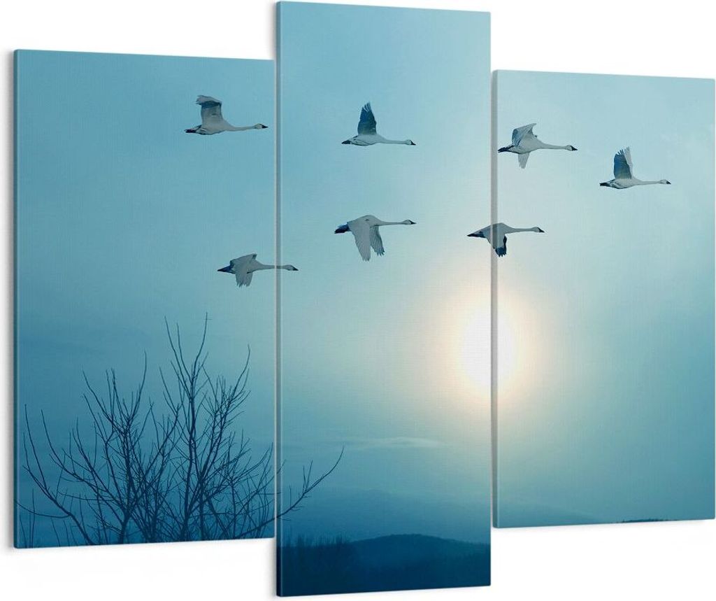 Bild auf Leinwand - Leinwandbild - Storch Vogel Natur - Produktbild 