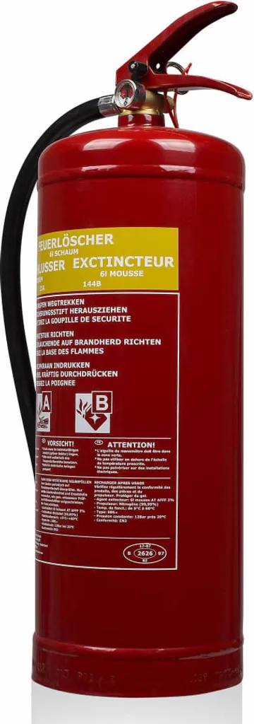 Estintore Smartwares SB6 6L a Schiuma - Prezzo Migliore Online - 6