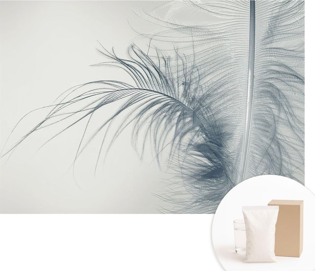 Fototapete - Wandbilder für Wohnzimmer - 312x219 cm - Dekorative Wandfolie - Modernes Design für Wanddekoration - Tapeten für Innenräume - Zart...