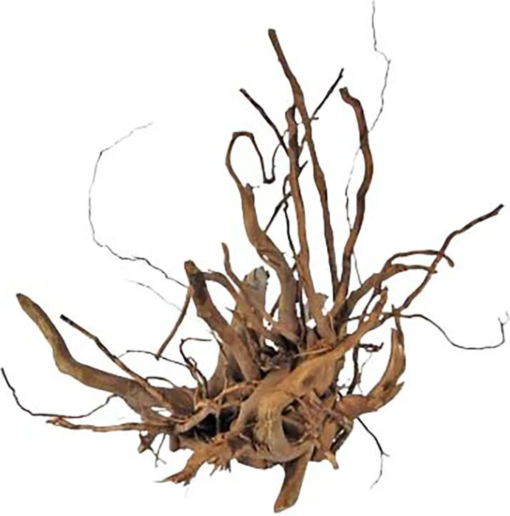 Compra Finger-Wurzel 30-40 cm: Decorazione Naturale per Pesci