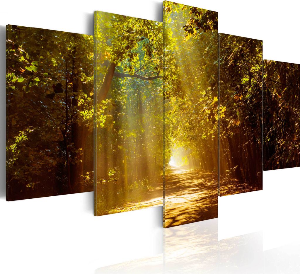 Leinwandbilder 200x100 cm Vlies Leinwandbild 5 tlg Kunstdruck modern Wandbilder XXL Wanddekoration Design Wand Bild - Weg Natur Sonne Sonnenschein ...