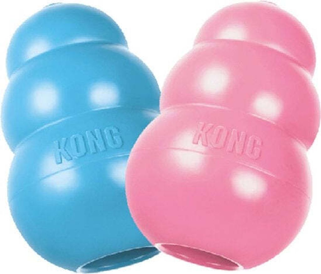 KONG KONG Welpenspielzeug - zufällige Farbe Rosa oder Blau - Gummi - 10 cm - L