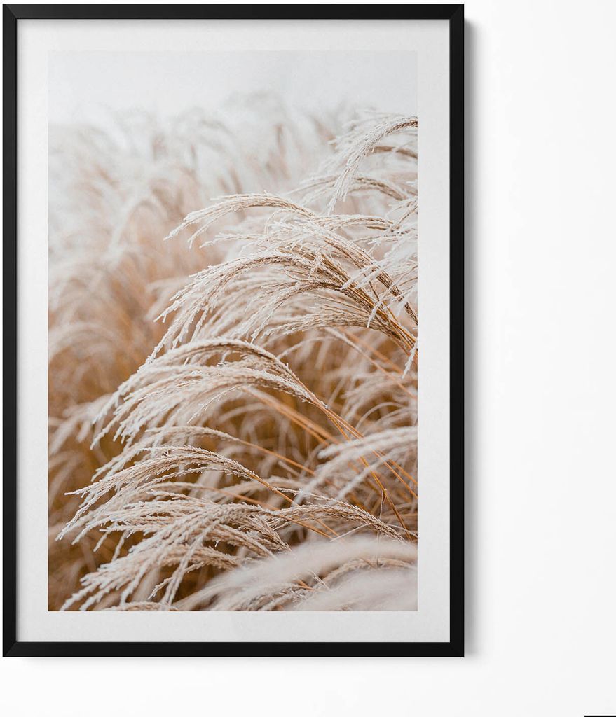 Zarte Gräser im Boho-Stil– Wandbild mit Rahmen – Gerahmtes Bild – Wanddekoration – 70x100 cm – Schwarz Rahmen