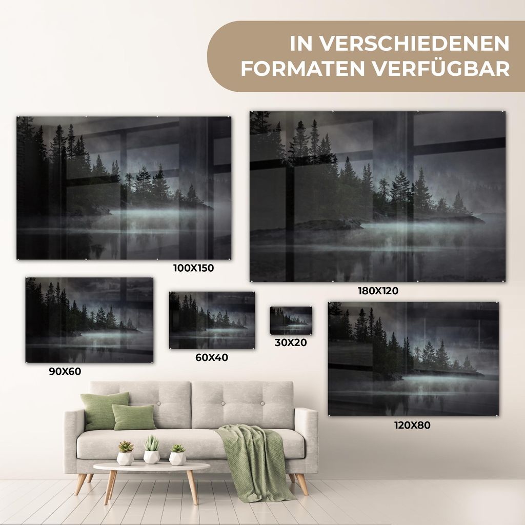 MuchoWow Glasbilder - Bilder auf Wandbild - Foto auf Glas Wald - Nebel - Schwarz - Weiß 90x60 cm Wanddekoration aus Glas - Acrylglasbild - Acrylbi...