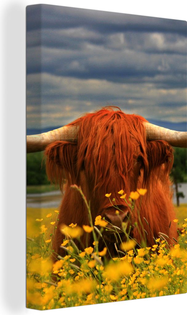 OneMillionCanvasses - Leinwandbilder - 90x140 cm, Schottisches Hochlandrind - Tiere - Blumen, Wandbilder Kunstdruck Wanddekoration - Hochland Rin...