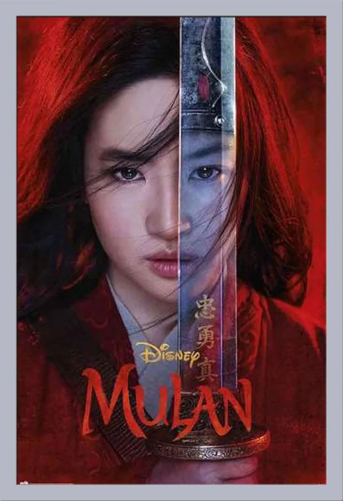 Décoration Murale Mulan Disney Poster Encadré Argent 61x91,5 cm Salon