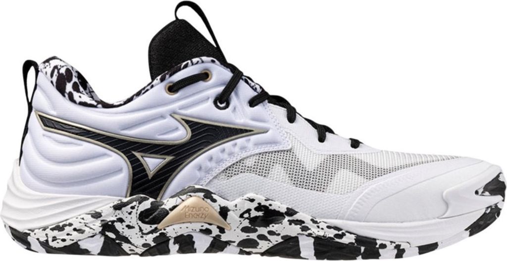Schuhe Mizuno Wave Momentum Elite V1GA251241 Produktbild 