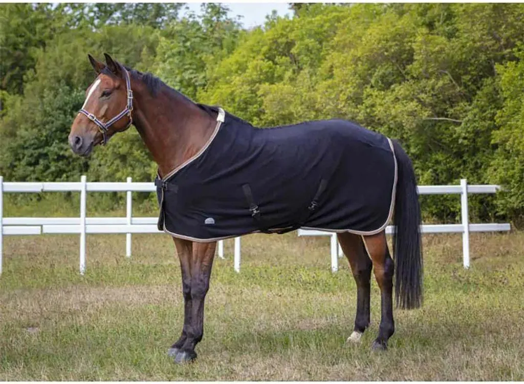Évitez le Coup de Froid : Couverture Séchante Equithème Polarfleece Cheval