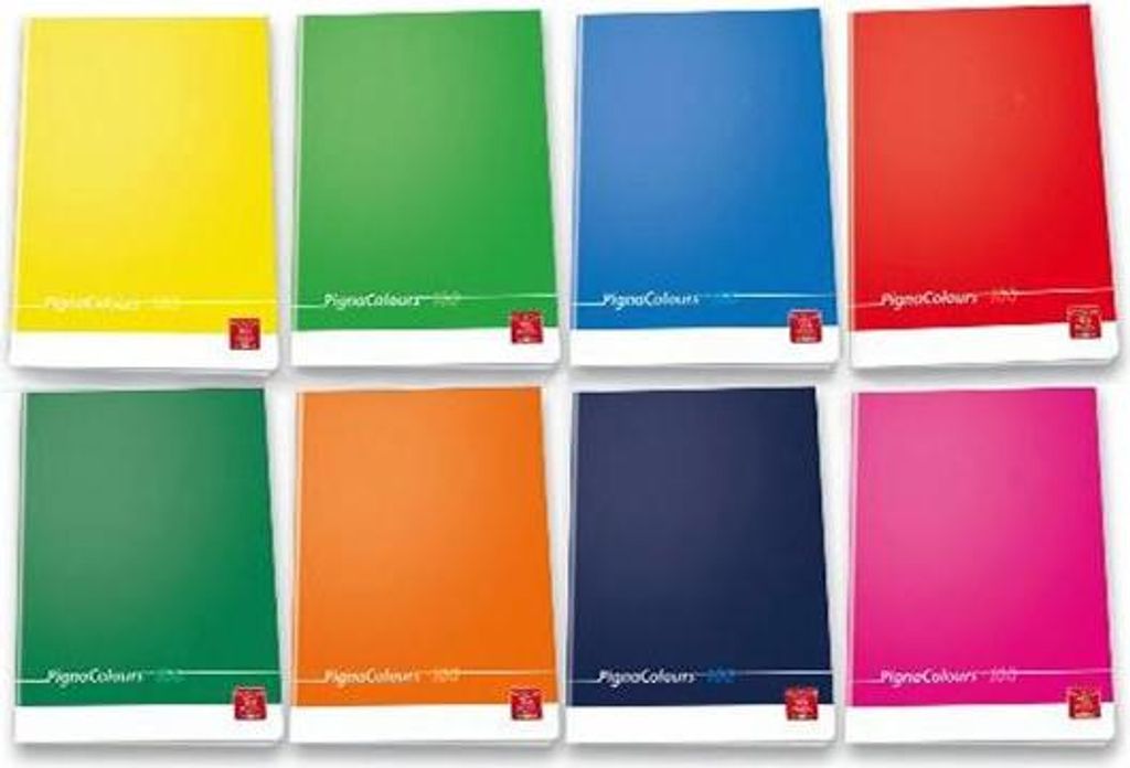 Pigna 02296581R Notizbuch A4 18 Blätter Mehrfarbig