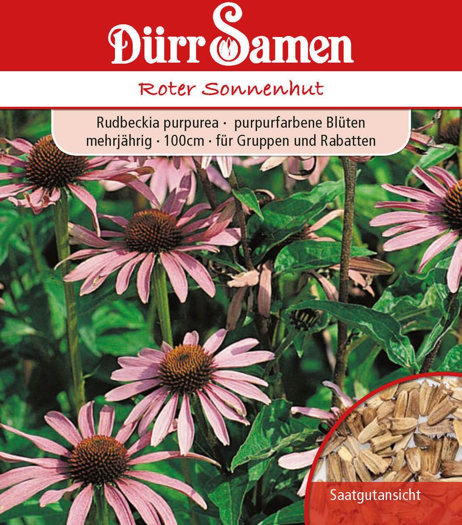 Roter Sonnenhut | Sonnenhutsamen von Dürr Samen