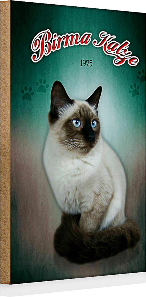 Holzschild Katze 20x30cm Birma Katze 1925 Wanddeko