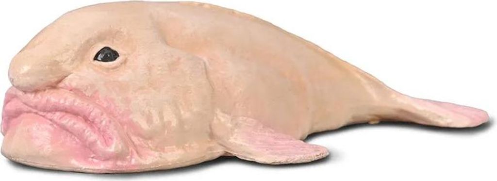 CollectA 80037 - Ryba Blobfish Psychrolutes marcidus