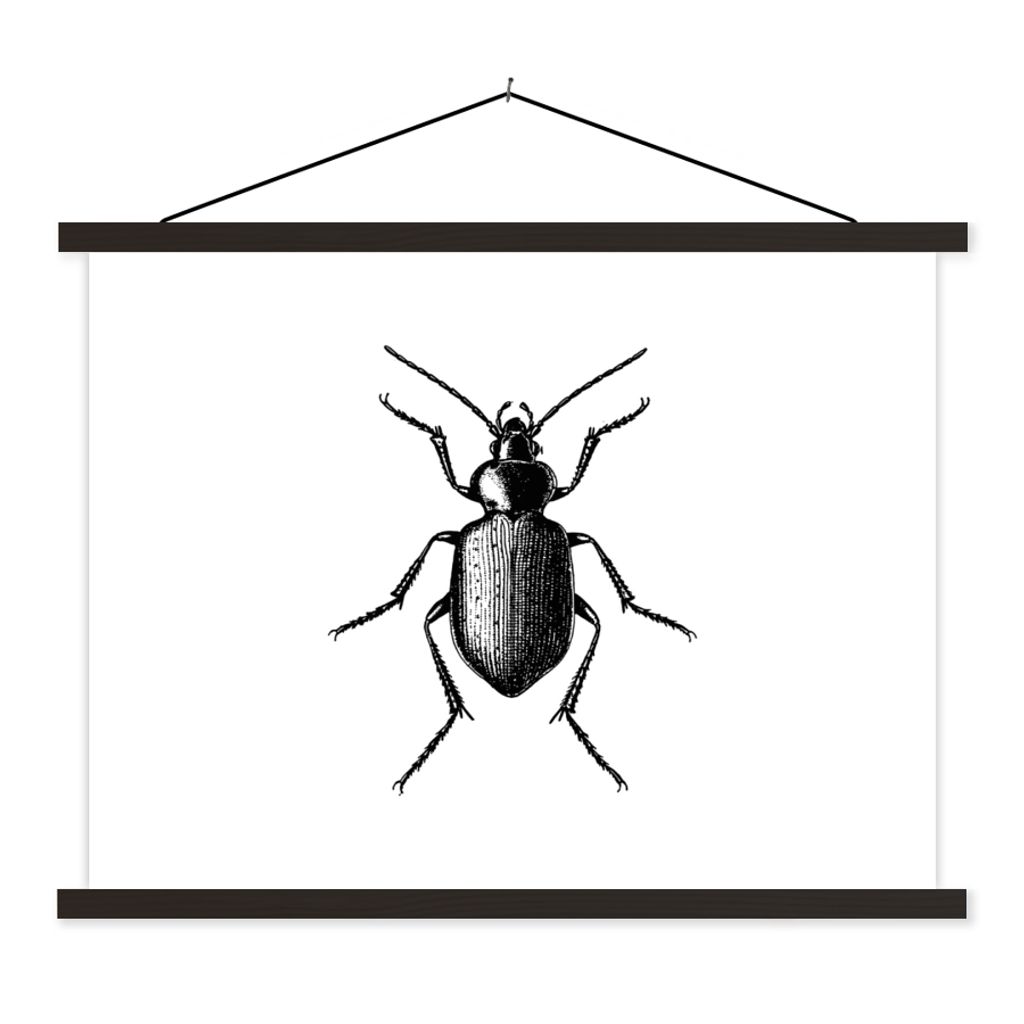 MuchoWow Textilposter Käfer - Tiere - Vintage - Schwarz und weiß 120x90 cm mit schwarzem Rahmen - Aufhänger für Poster
