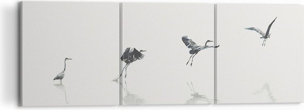 Bild auf Leinwand - Leinwandbild - 3 Teile - Flug Vogel Reiher - 120x40cm - Wand Bild - Wanddeko - Wandbilder - Leinwanddruck - Bilder - Wanddekora...