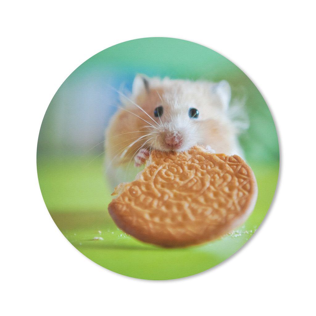 MuchoWow Mauspad Mousepad Hamster mit einem halb aufgegessenen Keks 30x30 cm - Mousepads - Maus Mat - Pad - Mausunterlage - Tischunterlage - Schr...