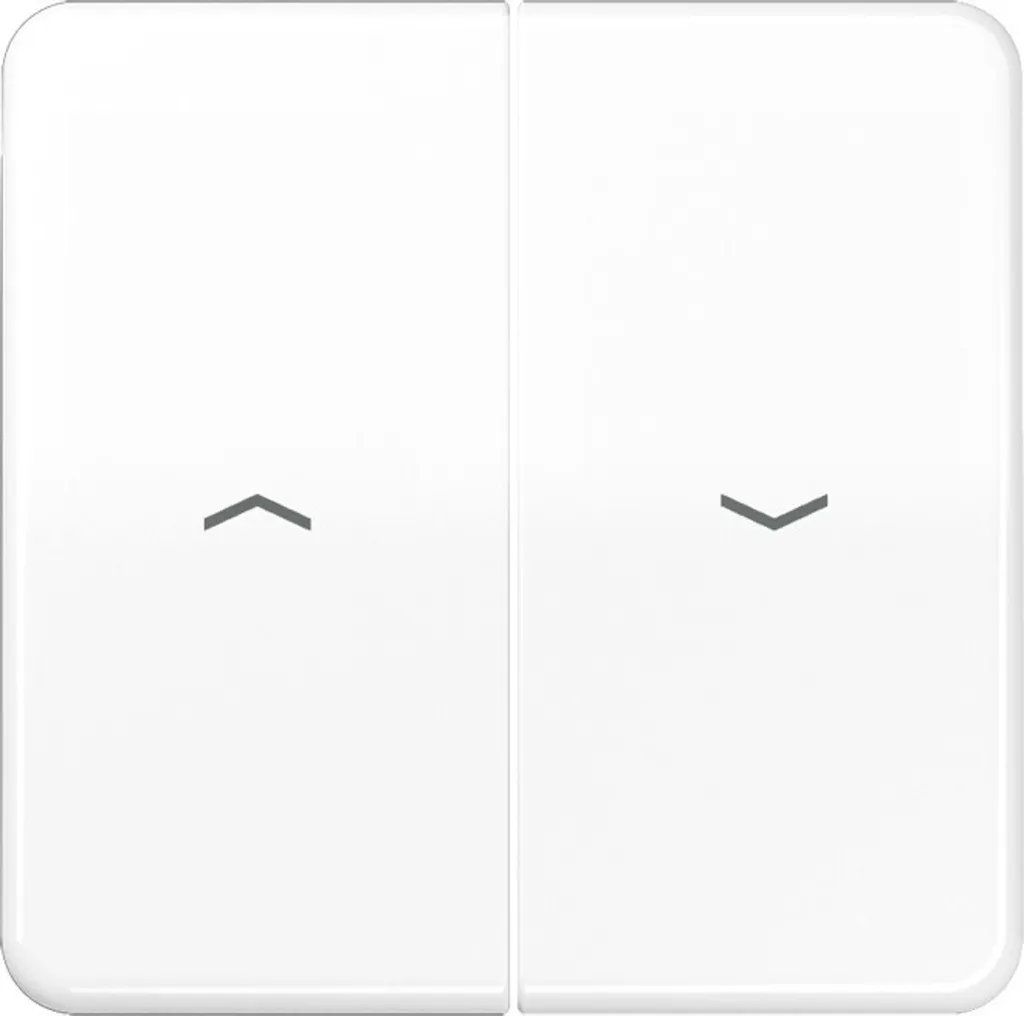 JUNG CD500 Bascule Double pour Store avec Flèches Blanc Brillant CD595P