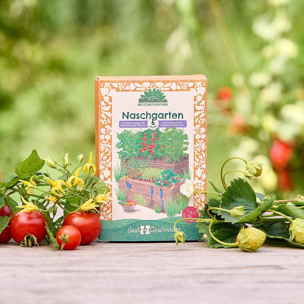 Saatgut Set Naschgarten 6 Sorten Gemüse Samen Balkon Garten