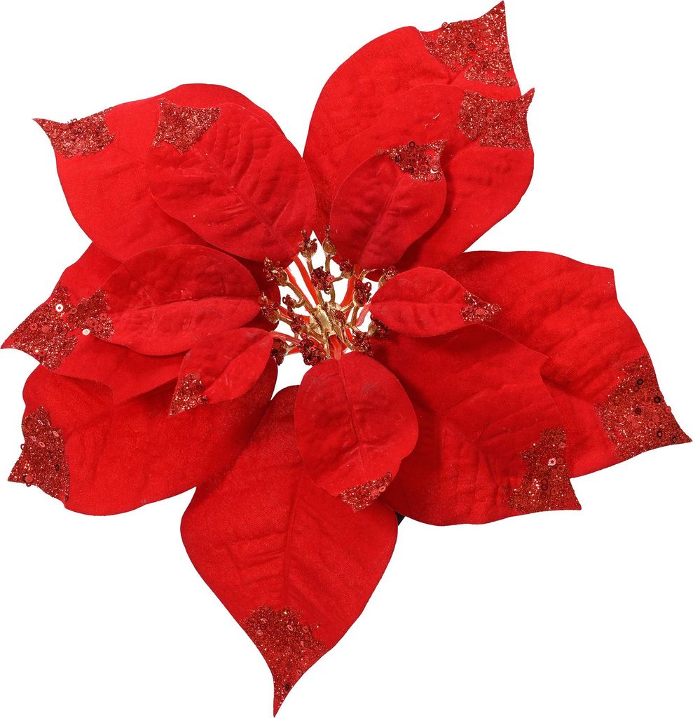 Weihnachtsstern am Clip 25cm 1 Stück Rot