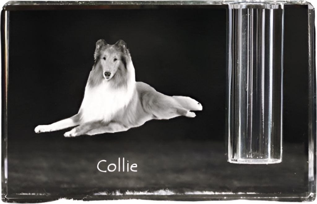 Langhaarcollie, Langhaariger Schottischer Schaferhund - Stifthalter, Kristallorganizer mit Hundefoto, einzigartige Schreibtischdekoration der Marke...