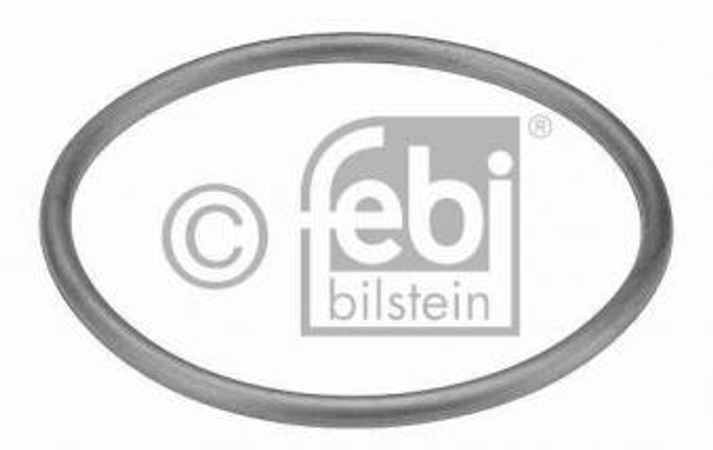 Febi Bilstein Dichtung, Thermostat 17964