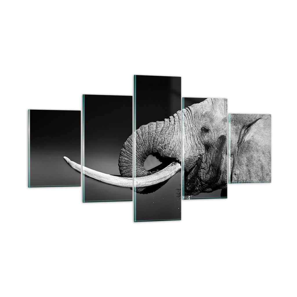 Bilder auf glas - Elefant Stoßzahn Natur - 125x70cm - Glasbilder - Wandbilder - Kunstdruck - zum Aufhängen bereit - Wanddekoration aus Glas - Gla...