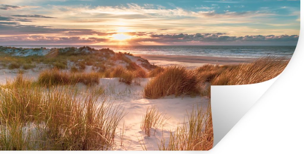 MuchoWow Wandtattoo Wandsticker Wandaufkleber Düne - Pflanzen - Sonnenuntergang - Strand - Meer 120x60 cm Selbstklebend und Repositionierbar - S...