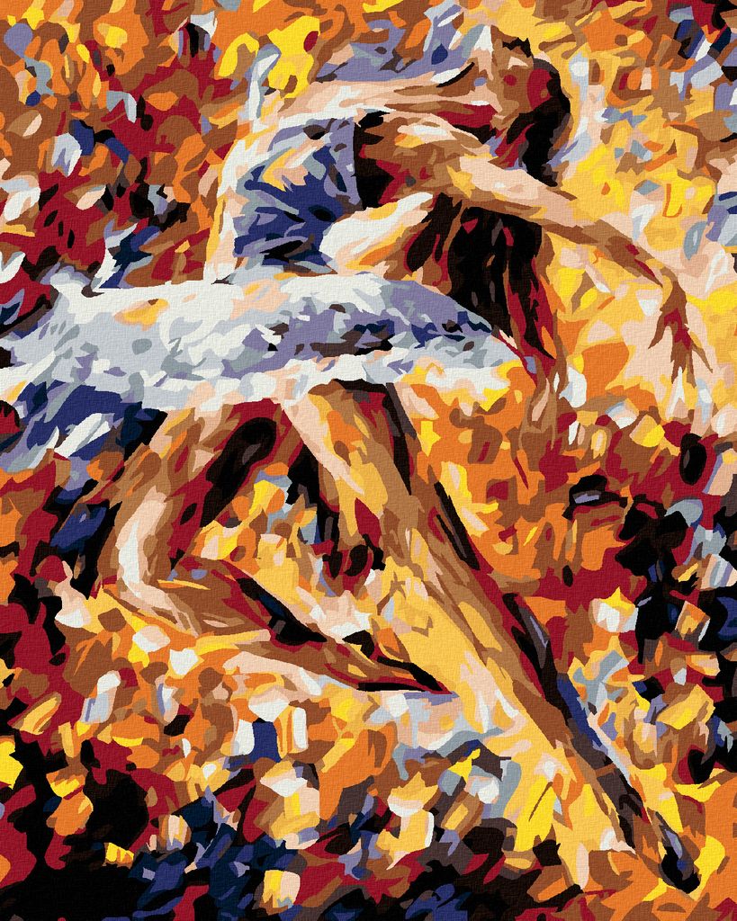 Diamondi - Diamond painting - SCHÖNE BALLERINA IN FARBEN, 40X50 cm, ohne Keilrahmen