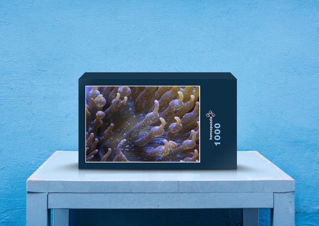 hansepuzzle 40018 - Koralle Puzzle, 1000 Teile, Reisen, 60,0 x 46,0cm mit hochwertiger Aufbewahrung, Kartonbox und wiederverschließbarem Beutel