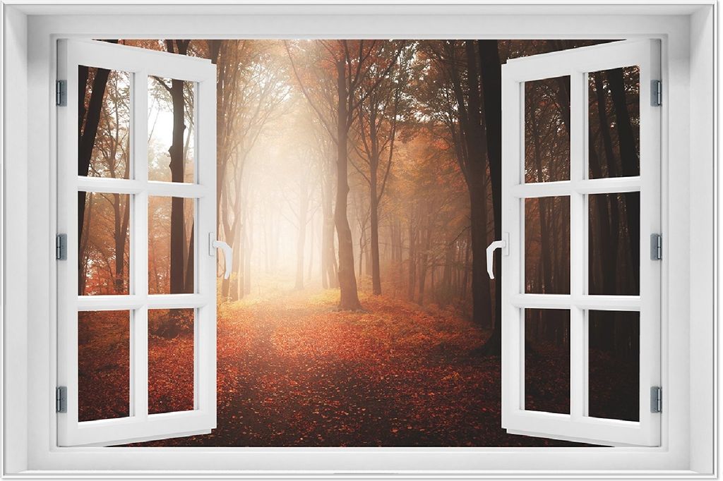 Wallario Wandbild mit Fenster-Illusion: Herbstwald - Weg zu Produktbild 