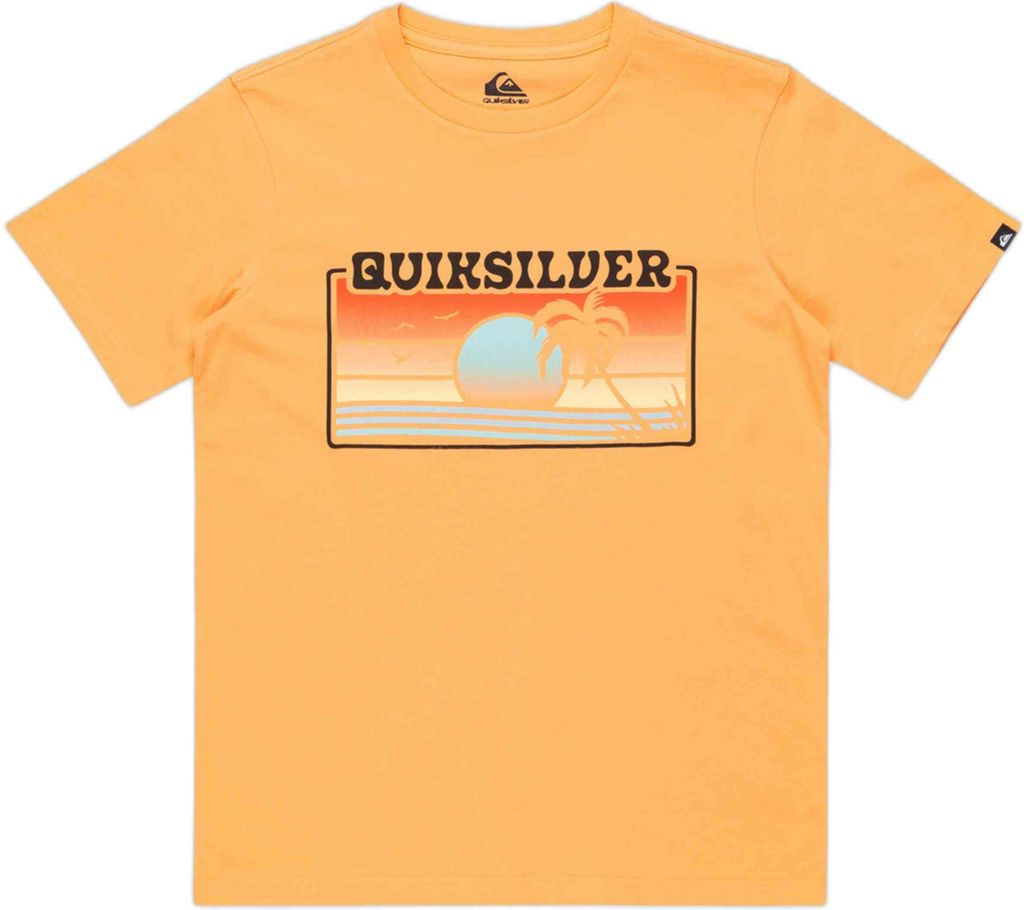 Quiksilver T-shirt EQBZT04845-NGR0 in Orange color size XL