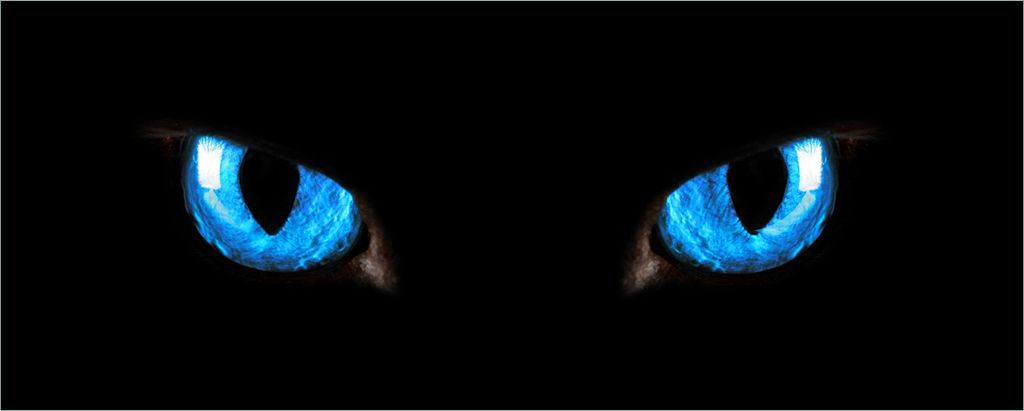 Wallario selbstklebendes Poster - Blaue Katzenaugen bei Nacht, Größe: 80 x 200 cm