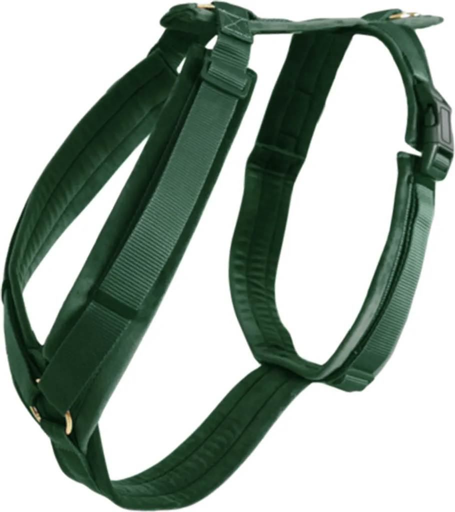 Harnais anti-traction confortable pour chien qui tire XL Green