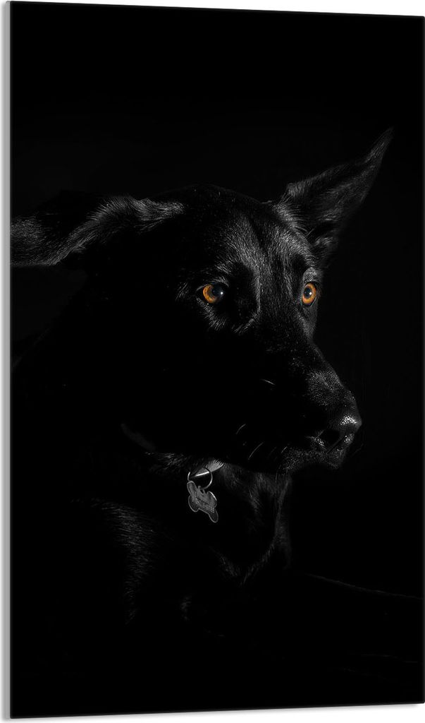 Herdabdeckplatte 30x52 Glaskeramikkochfeld Abdeckung Spritzschutz Glasplatte Deko Schneidebrett, Hund Schwarz