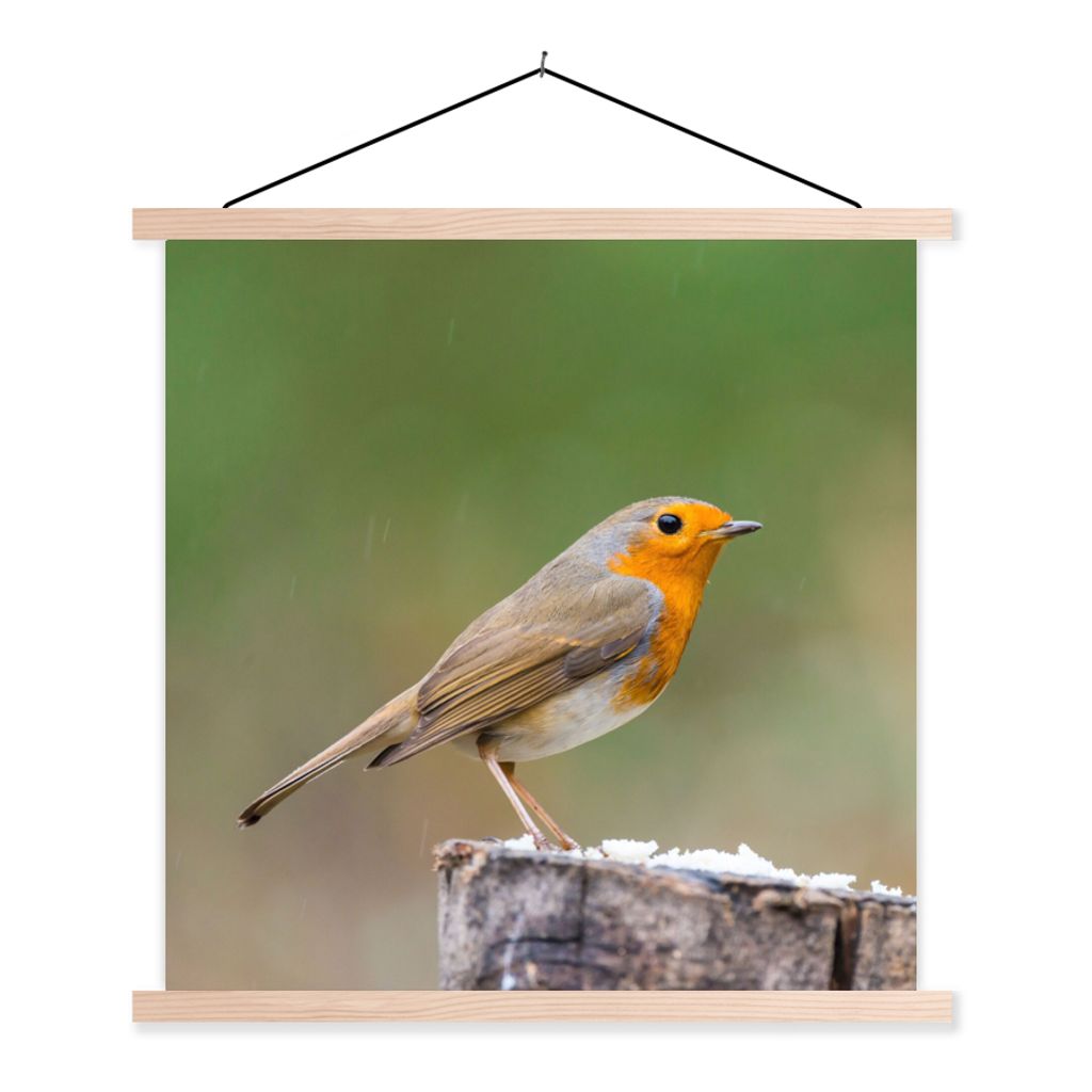 MuchoWow Textilposter Tiere - Vogel - Rotkehlchen 40x40 cm mit holzfarbenen Rahmen - Posterleiste