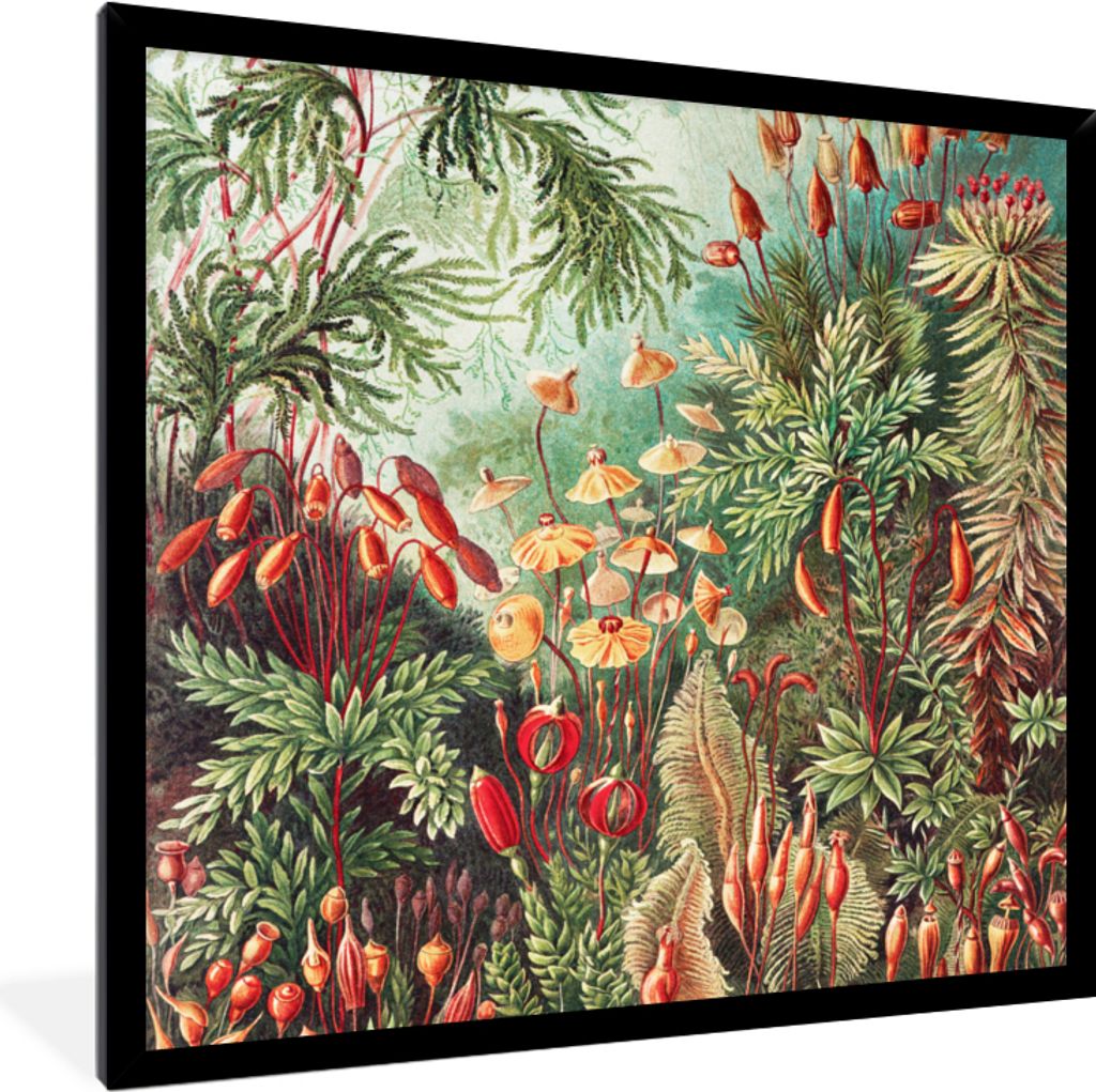MuchoWow Gerahmtes Poster Blumen - Kunst - Vintage - Natur - Botanisch 40x40 cm - Poster mit Schwarzem Bilderrahmen Wandposter Rahmen Foto Bilder...